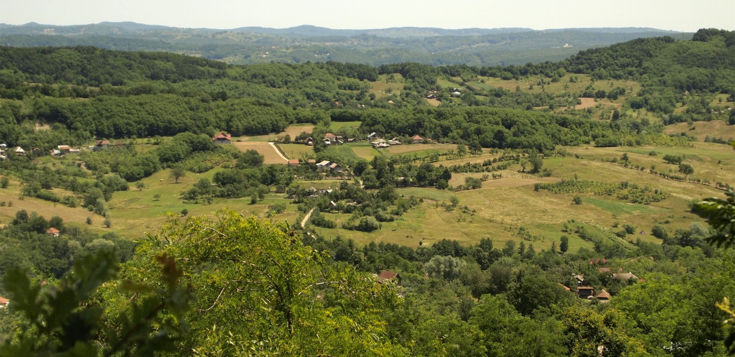 Localitatea Grădiștea